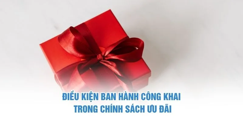 Điều kiện ban hành công khai trong chính sách ưu đãi